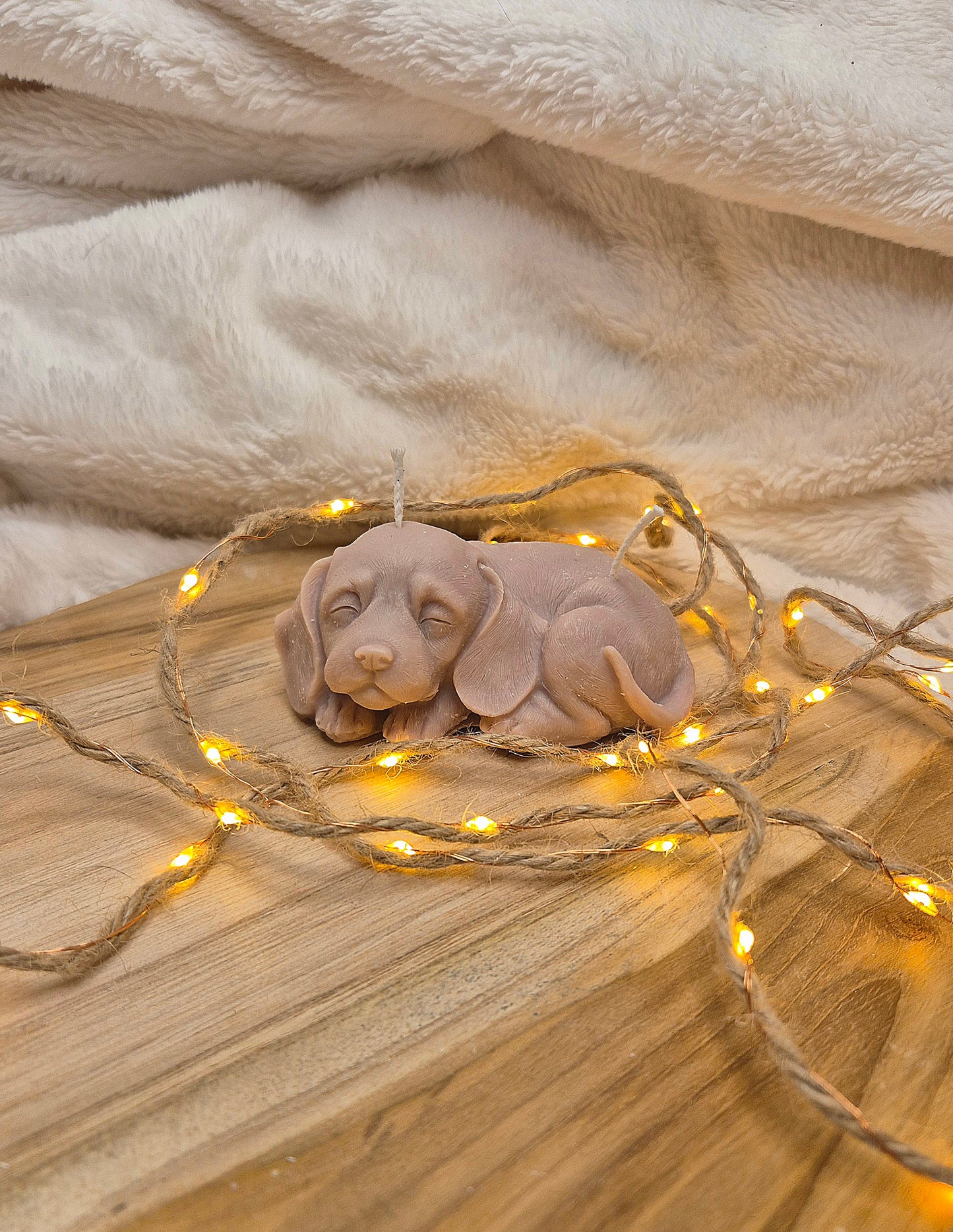 Schlafendes Hündchen