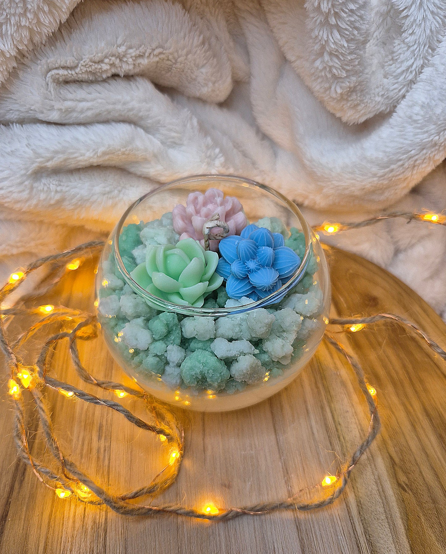 Kaktusgarten (klein)