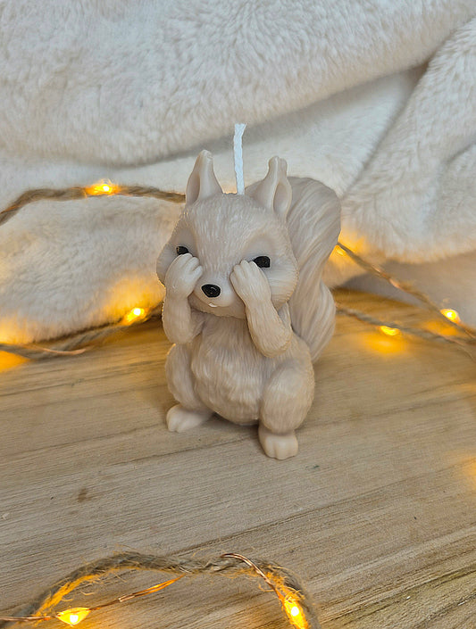 Schüchternes Eichhörnchen