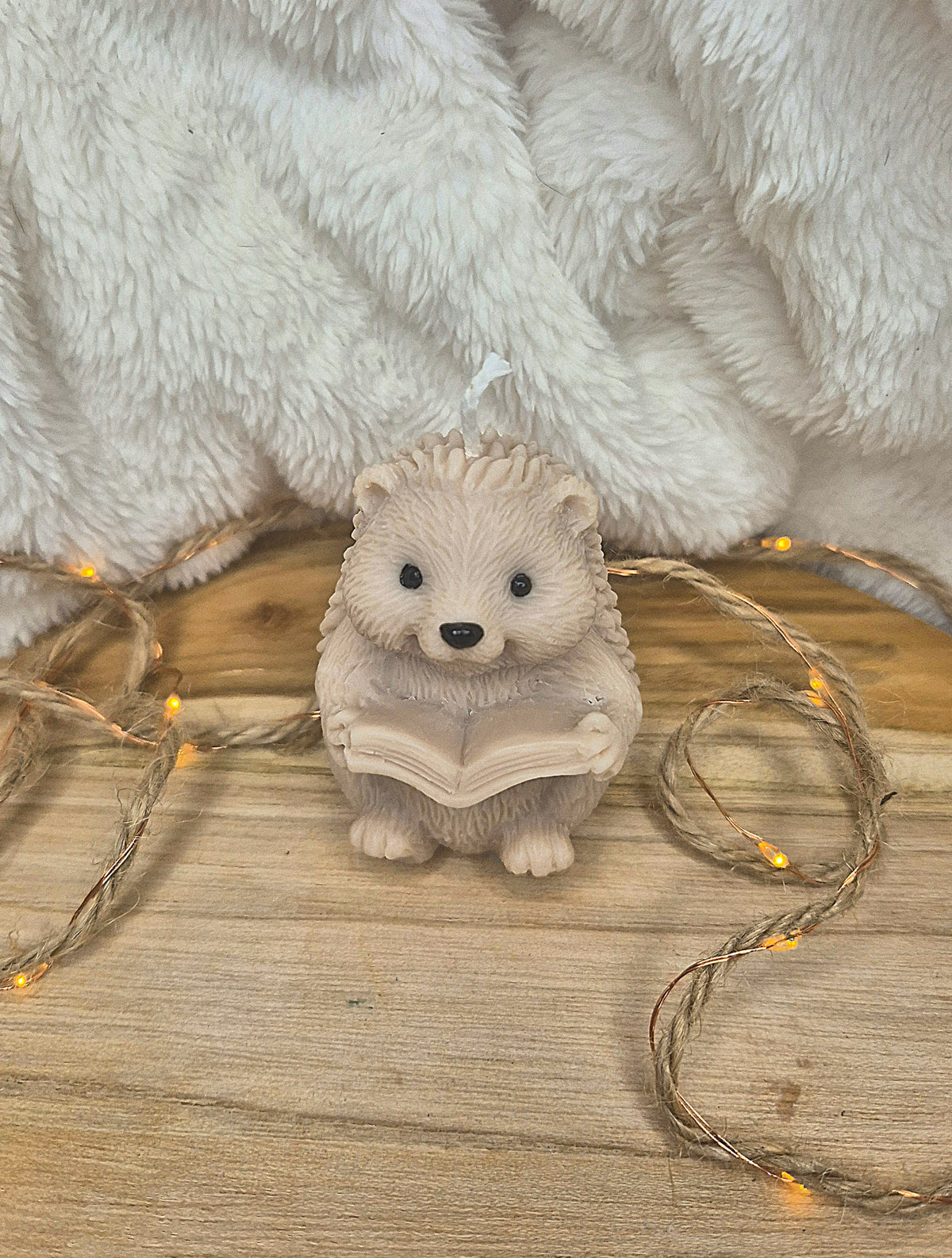 Lese-Igel