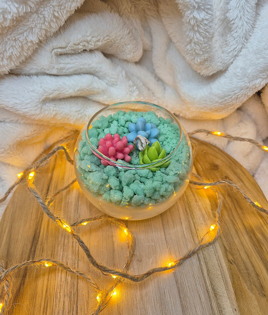 Kaktusgarten (klein)